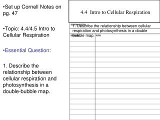 Set up Cornell Notes on pg. 47 Topic: 4.4/4.5 Intro to Cellular Respiration Essential Question :