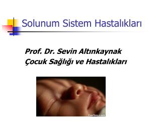 Solunum Sistem Hastalıkları