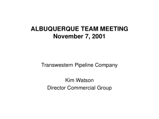 ALBUQUERQUE TEAM MEETING November 7, 2001