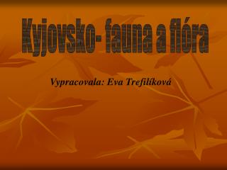 Kyjovsko- fauna a flóra