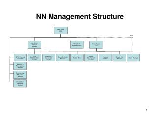 NN Management Structure