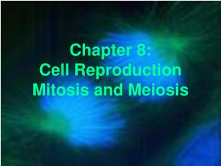 Chapter 8: Cell Reproduction Mitosis and Meiosis