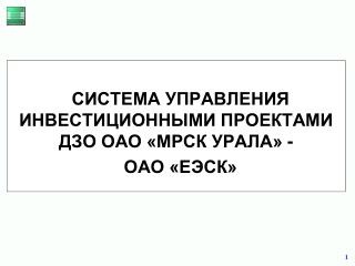 СИСТЕМА УПРАВЛЕНИЯ ИНВЕСТИЦИОННЫМИ ПРОЕКТАМИ ДЗО ОАО «МРСК УРАЛА» - ОАО «ЕЭСК»