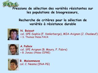 Palloix col. SPE Avignon (B. Moury, F. Fabre) + B. Janzac (thèse CIFRE)