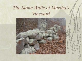 The Stone Walls of Martha’s Vineyard