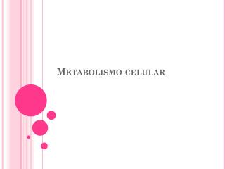 Metabolismo celular