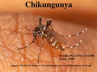 Chikungunya