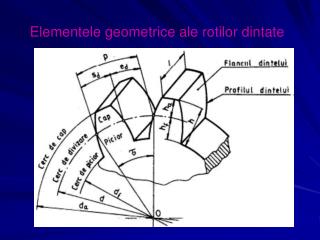 Elementele geometrice ale rotilor dintate