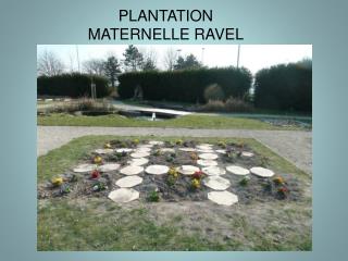 PLANTATION MATERNELLE RAVEL