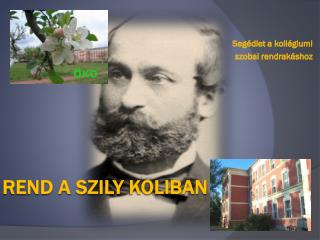 Rend a Szily Koliban