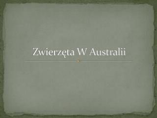 Zwierzęta W Australii