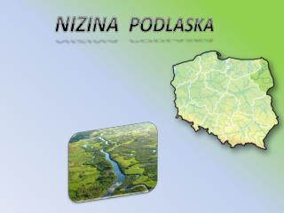 NIZINA PODLASKA