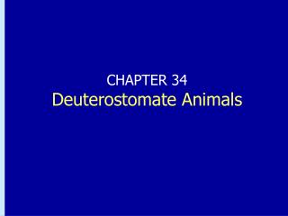 CHAPTER 34 Deuterostomate Animals