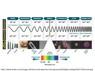 andor/image_lib/lores/introduction/introduction%20(light)/intlight%201%20small.jpg