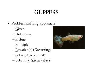 GUPPESS