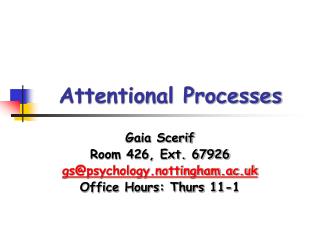 Attentional Processes