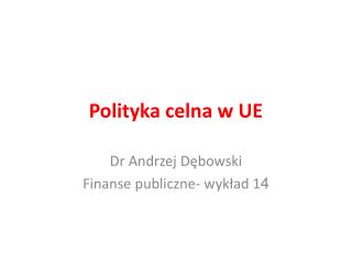 Polityka celna w UE