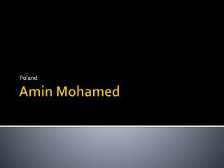 Amin Mohamed