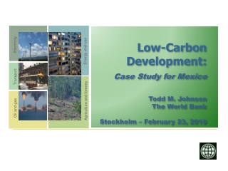 Low-Carbon Development: Case Study for Mexico Todd M. Johnson The World Bank