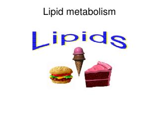 PPT - Lipid Metabolism PowerPoint Presentation, Free Download - ID:4187488