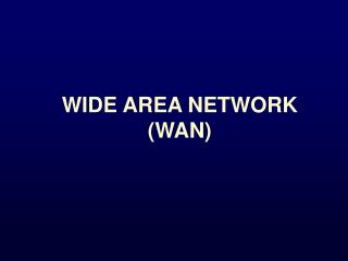 WIDE AREA NETWORK (WAN)