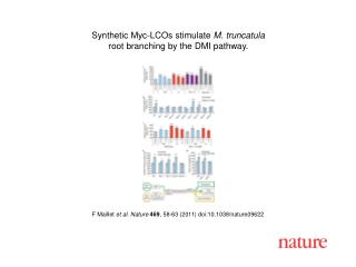 F Maillet et al. Nature 469 , 58-63 (2011) doi:10.1038/nature09622