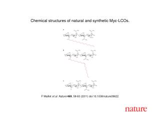 F Maillet et al. Nature 469 , 58-63 (2011) doi:10.1038/nature09622