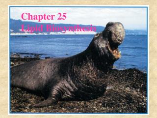 Chapter 25 Lipid Biosynthesis