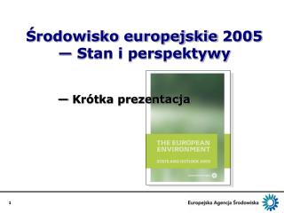 Środowisko europejskie 2005 — Stan i perspektywy
