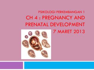 Psikologi Perkembangan 1 Ch 4 : Pregnancy and Prenatal Development 7 Maret 2013