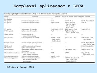 Komplexní spliceosom u LECA