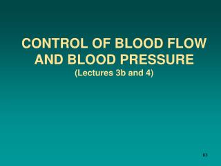 Control of Blood Flow and Blood Pressure ( Lectures 3b and 4)