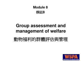 Group assessment and management of welfare 動物福利的群體評估與管理