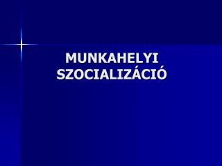 MUNKAHELYI SZOCIALIZÁCIÓ