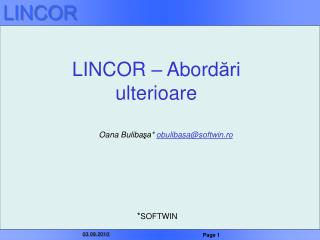 LINCOR – Abord ări ulterioare