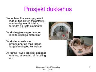 Prosjekt dukkehus