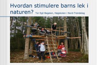 Hvordan stimulere barns lek i naturen? Tor Egil Bagøien, Høgskolen i Nord-Trøndelag