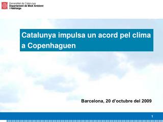 Catalunya impulsa un acord pel clima a Copenhaguen