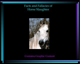 Facts and Fallacies of Horse Slaughter