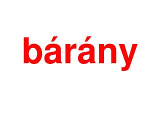 bárány