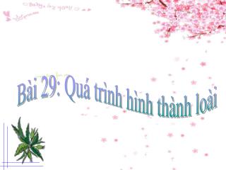 Bài 29: Quá trình hình thành loài
