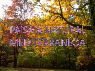 PAISAIA NATURAL MEDITERRANEOA