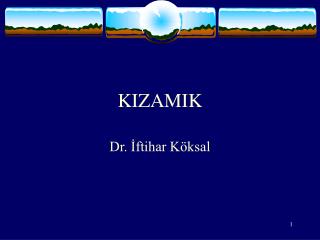 KIZAMIK