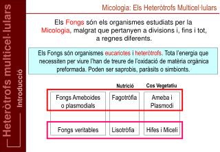 Micologia: Els Heteròtrofs Multicel·lulars