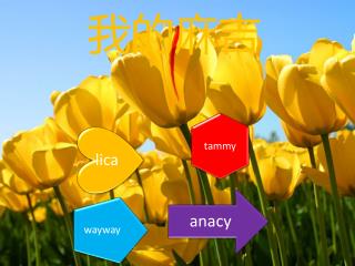 我的麻吉