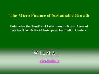 The Micro Finance of Sustainable Growth