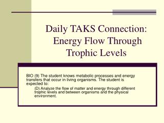 Daily TAKS Connection: Energy Flow Through Trophic Levels