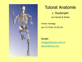 Tutorat Anatomie Studienjahr von Harriet &amp; Danilo