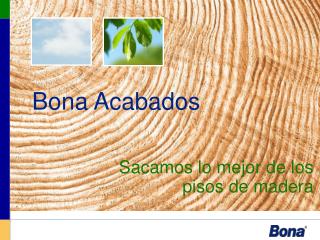 Sacamos lo mejor de los pisos de madera