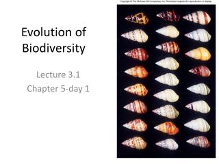 Evolution of Biodiversity